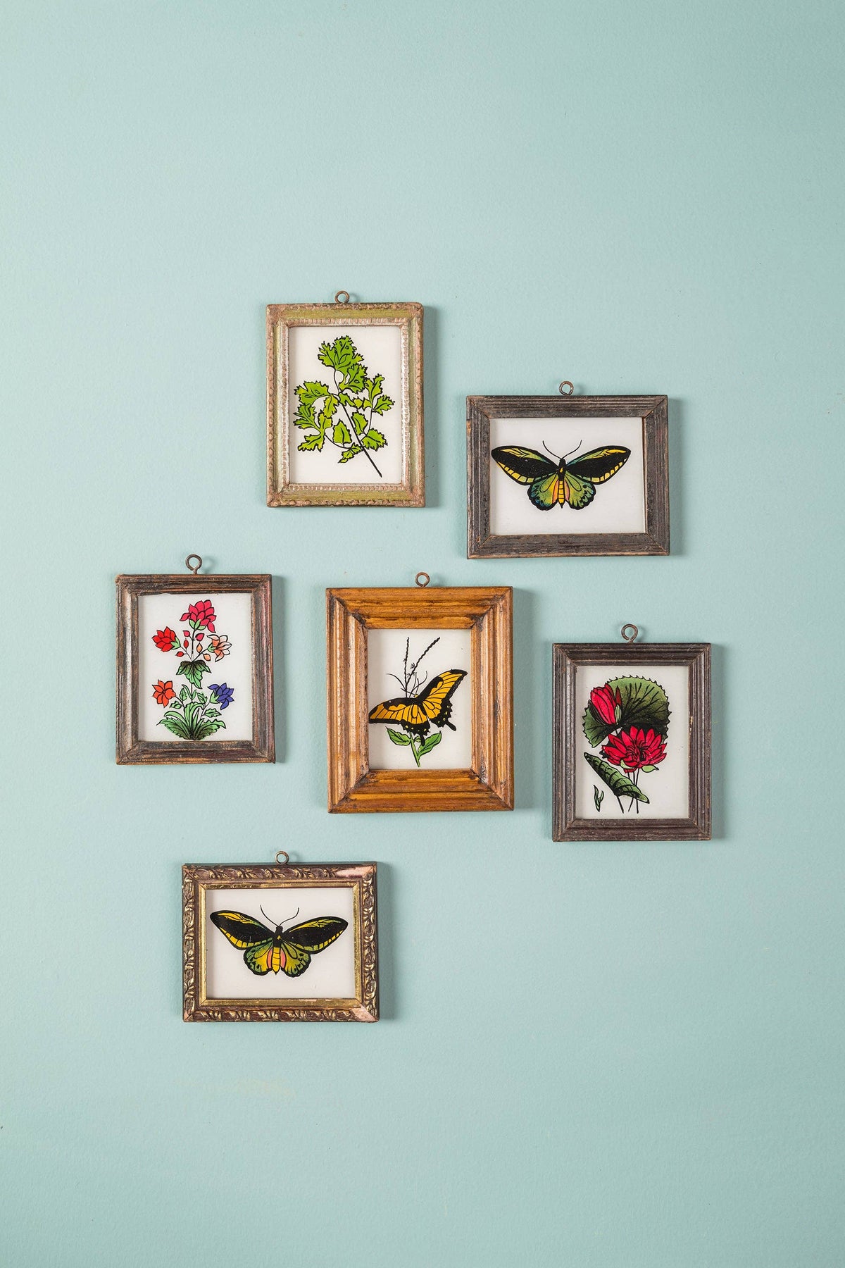 Daisy Snow - Tiny Old Wood Frame with Botanical/Wildlife Painting
