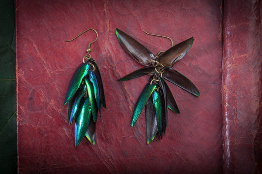 Iridescent Beetle Wing Earrings - by Palomita Jewellery