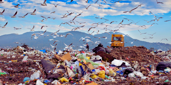 Fast Fashion & Throwaway Culture: The Cost of Convenience