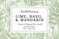 Lime, Basil & Mandarin Candle: Extra Large - by Smith & Greening