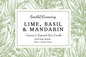 Lime, Basil & Mandarin Candle: Large - by Smith & Greening