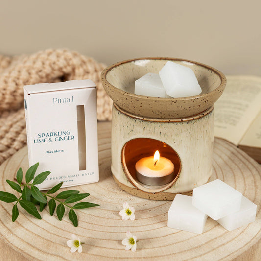 Pintail Candles | Avalon Home - Sparkling Lime & Ginger Wax Melts