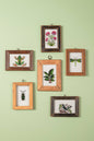 Daisy Snow - Small Old Wood Frame with Botanical/Wildlife Painting