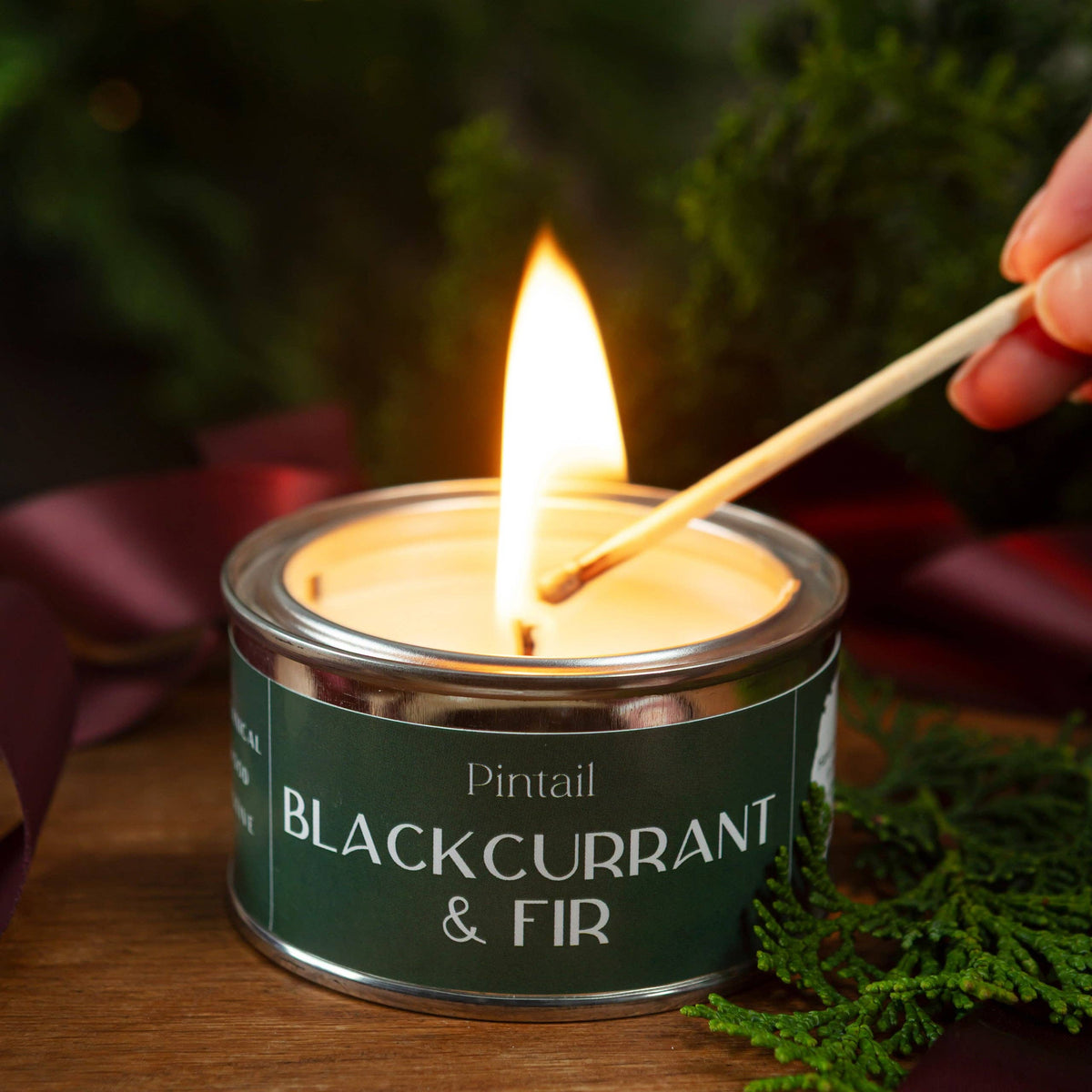 Pintail Candles | Avalon Home - Blackcurrant & Fir Paint Pot