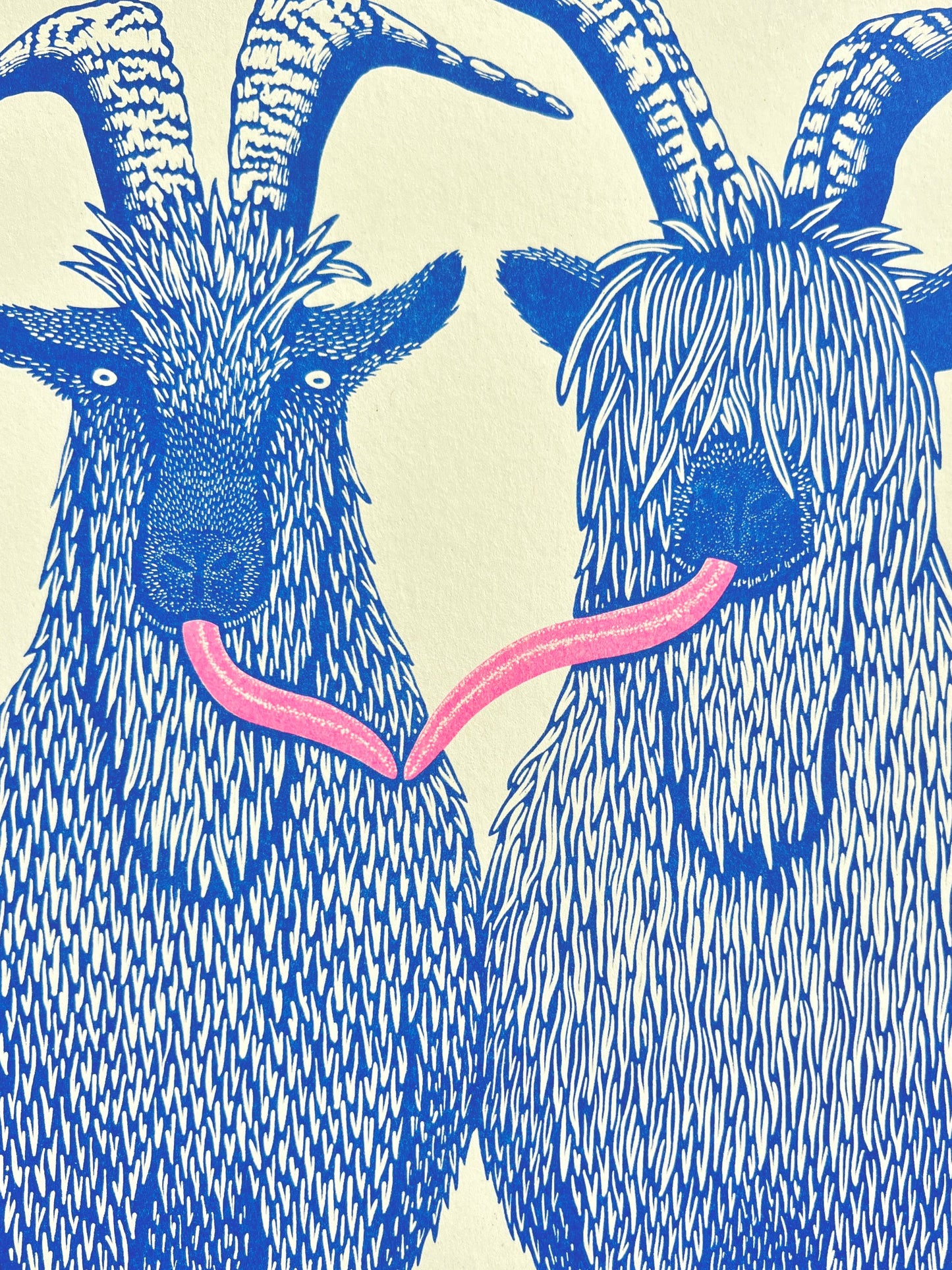 Silly Billies - A3 Size Print - by Strangford