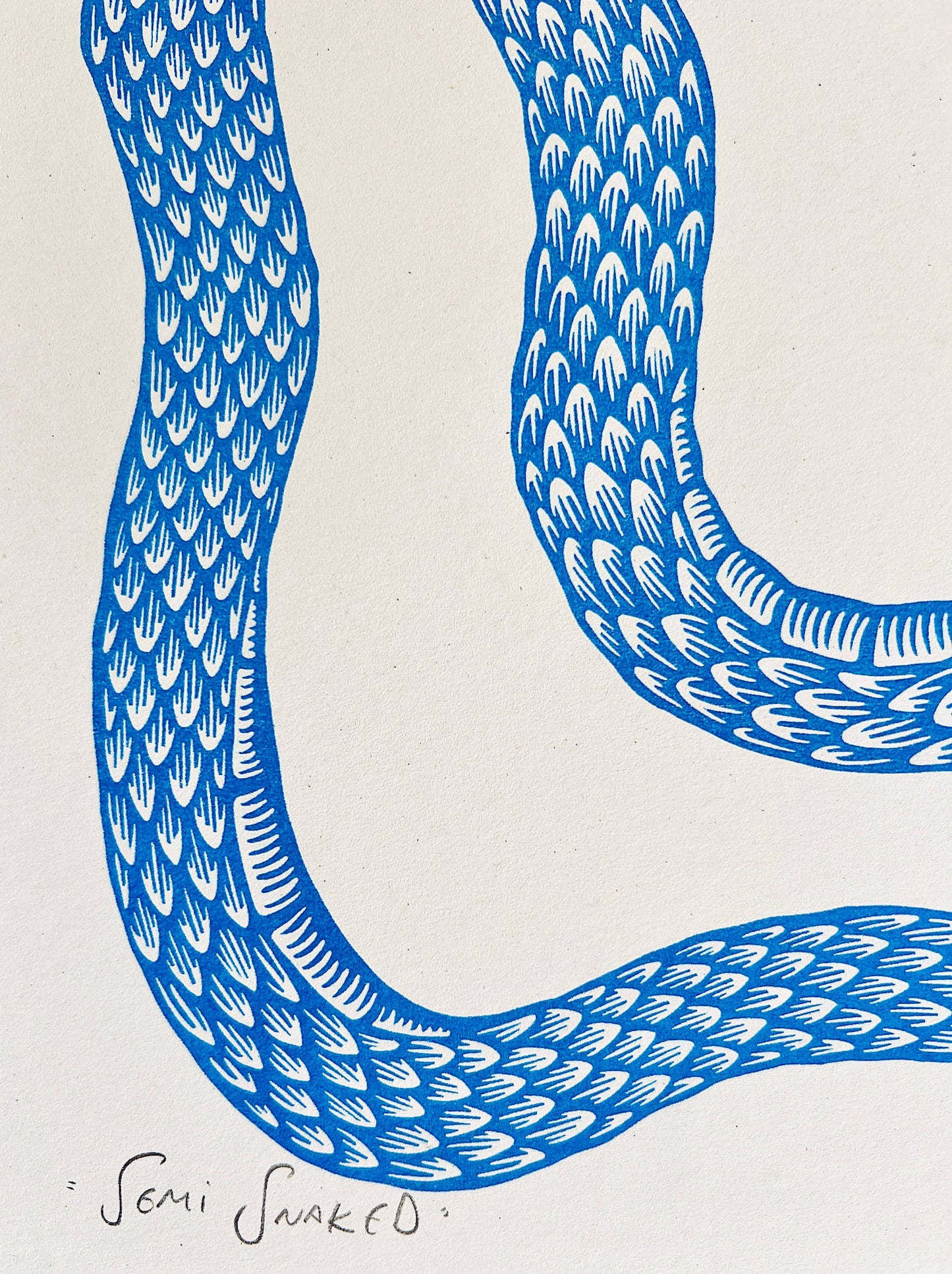 'Semi Snaked' A4 Riso Print - by Strangford