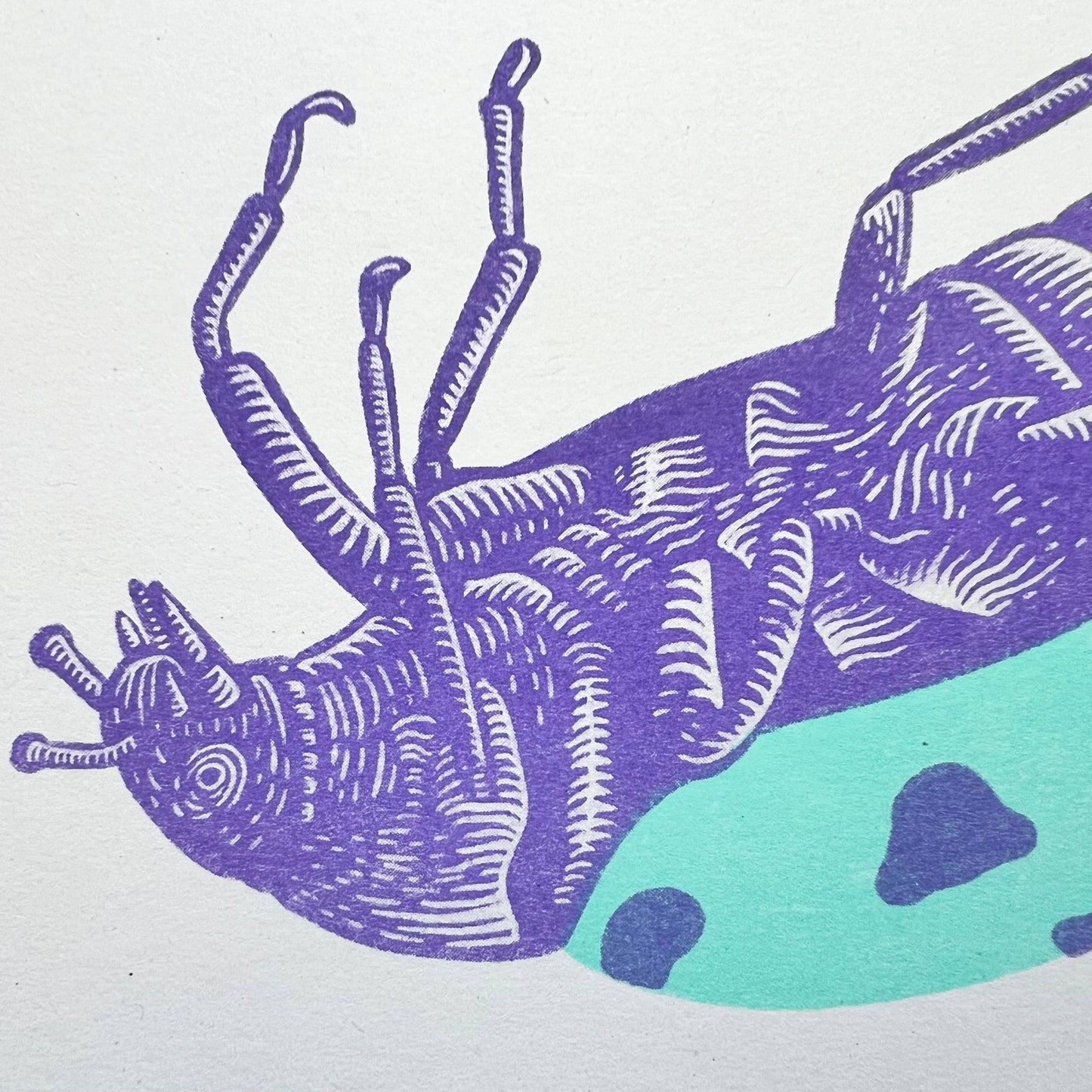 'Bugger' - A5 Riso Print - by Strangford