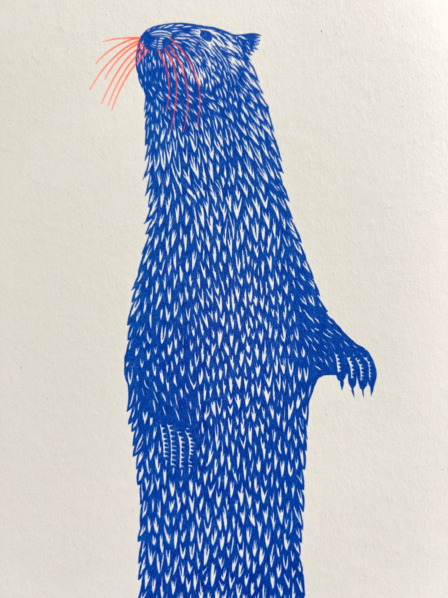 Long Otter - Print - by Strangford