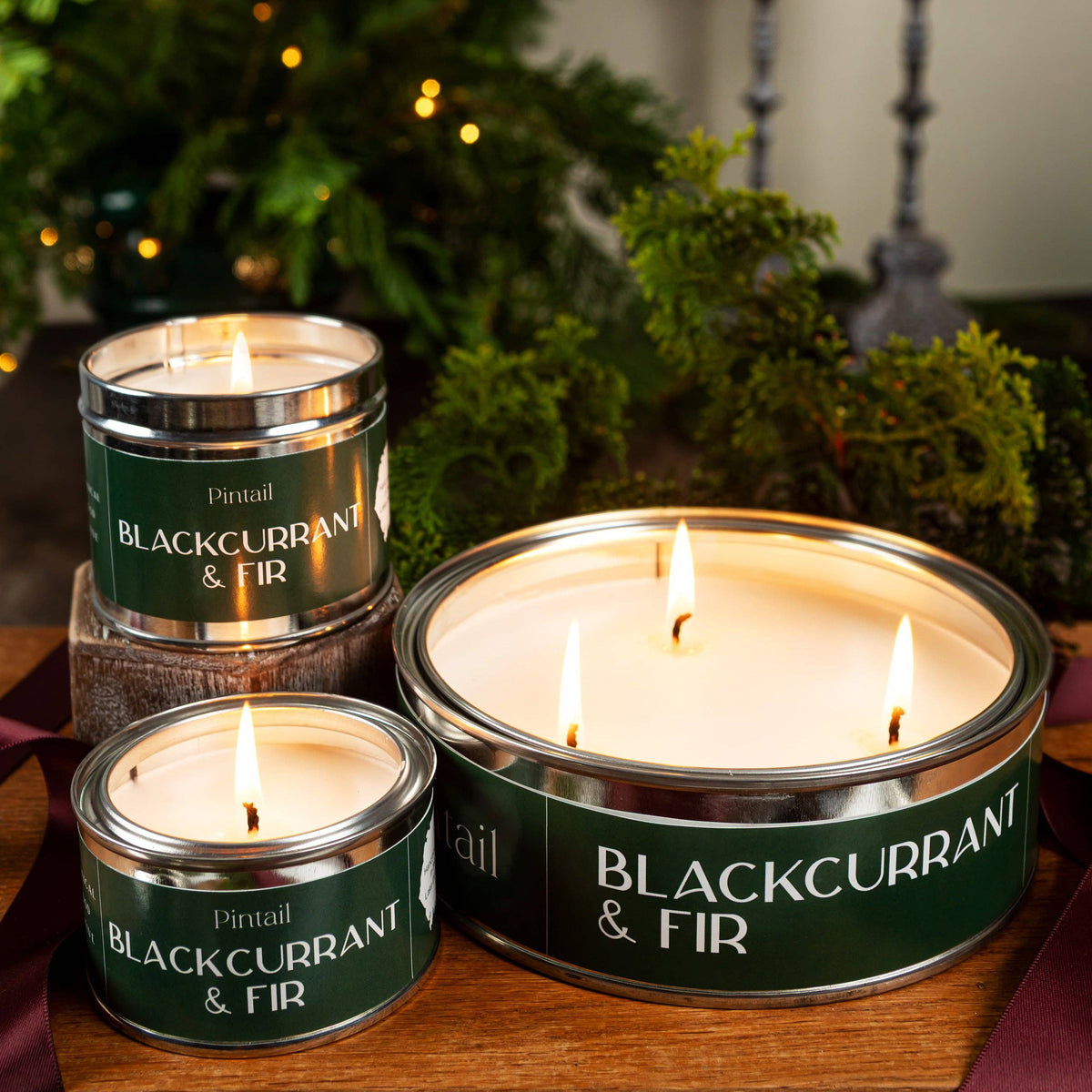 Pintail Candles | Avalon Home - Blackcurrant & Fir Paint Pot