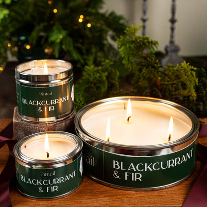 Pintail Candles | Avalon Home - Blackcurrant & Fir Paint Pot