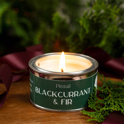 Pintail Candles | Avalon Home - Blackcurrant & Fir Paint Pot