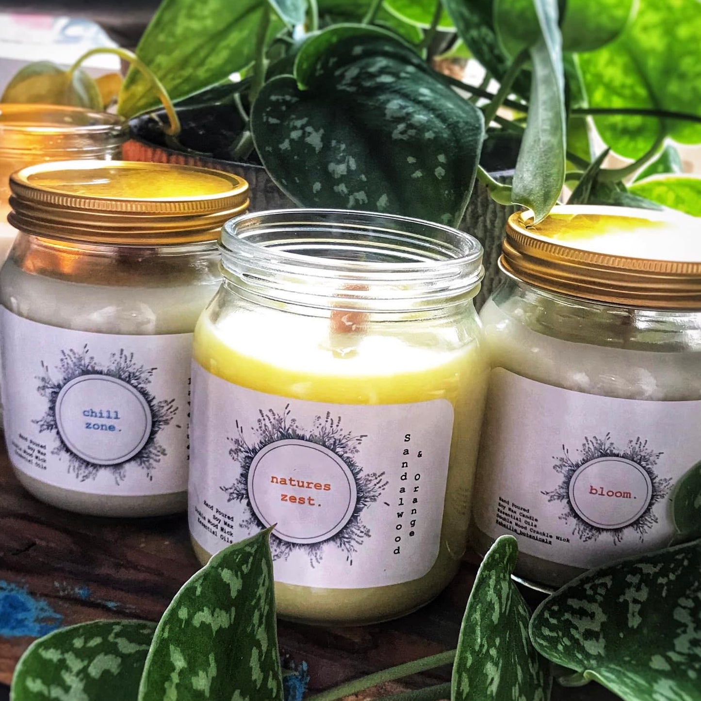 Three candles in glass jars with labels, surrounded by green plants.