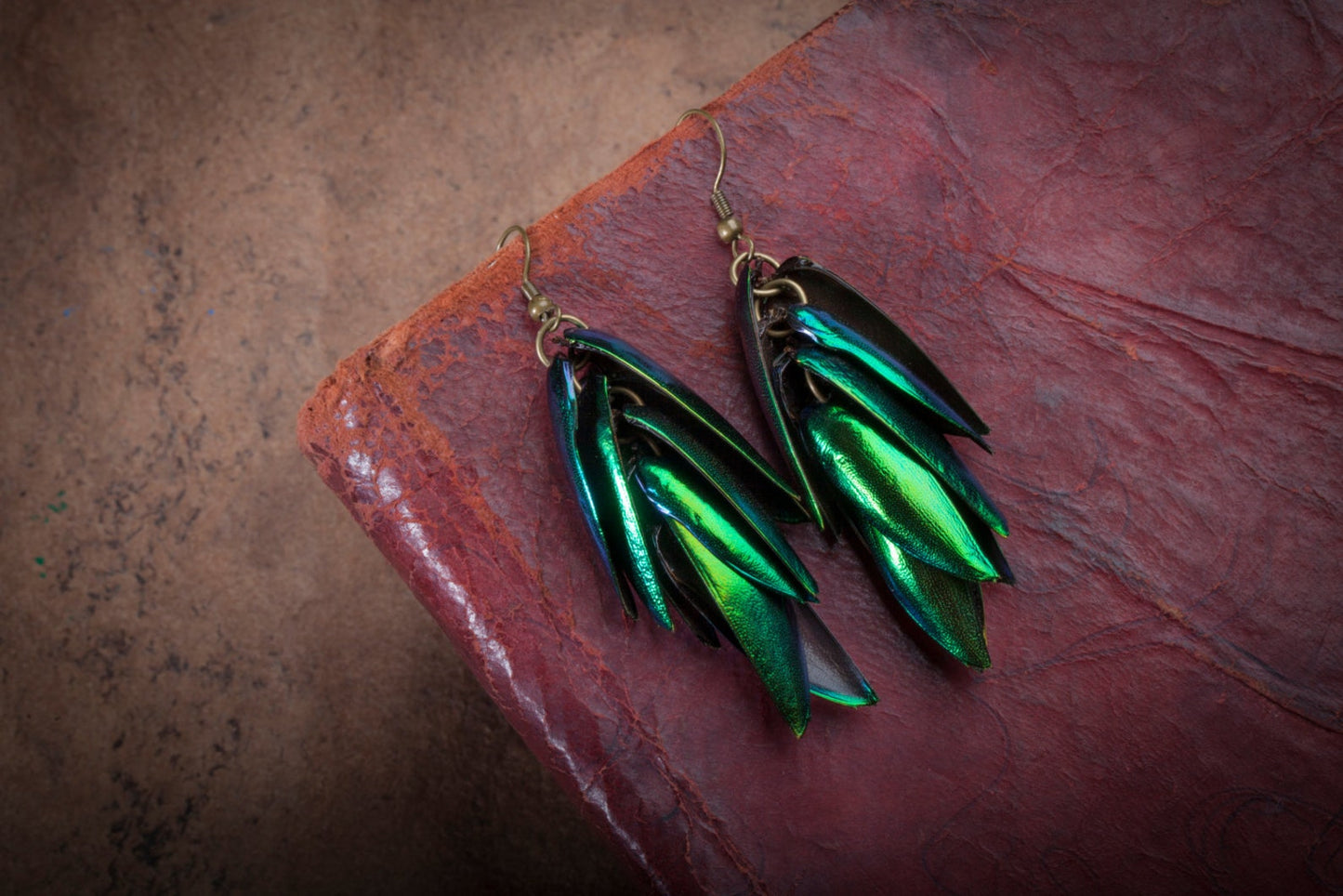 Iridescent Beetle Wing Earrings - by Palomita Jewellery