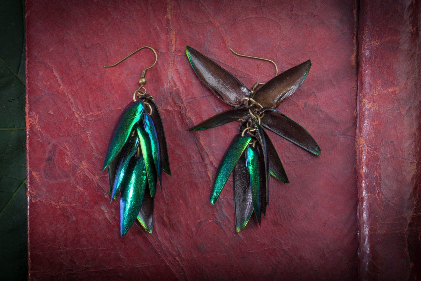 Iridescent Beetle Wing Earrings - by Palomita Jewellery