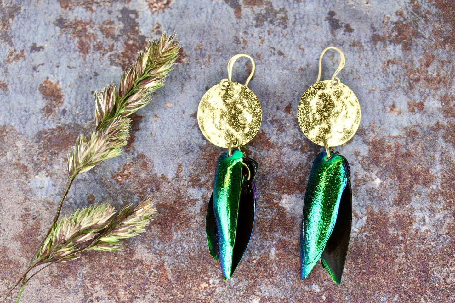 Real Beetle Wing Earrings - by Palomita Jewellery