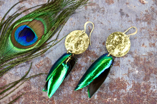 Beetle Wing Earrings (S)- by Palomita Jewellery