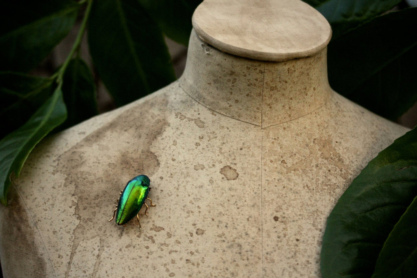 Iridescent Beetle Brooch - by Palomita Jewellery