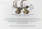 18k Gold-Plated Sterling Silver Rose Quartz & Star Hoop Earrings by Toba