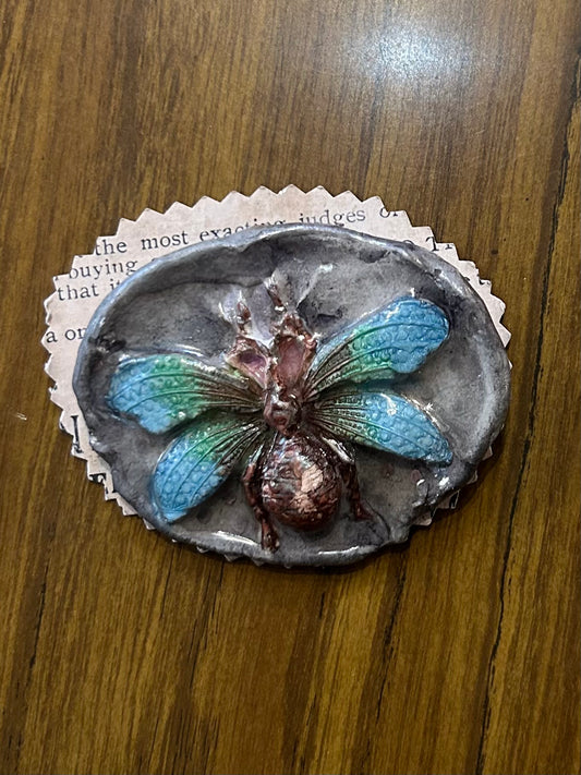 Insect Brooch by Jan Cooper
