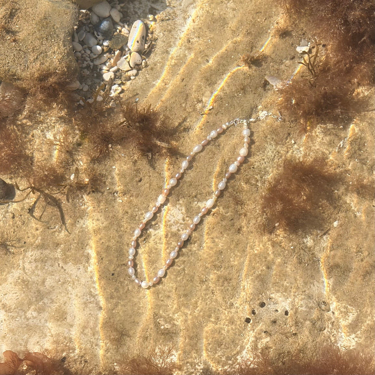 The Sea Strand (Oyster Lilac, 14-16") By Ostreidae