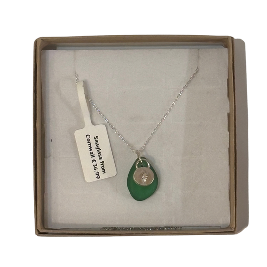 A frosted piece of green glass with collected from Cornwall, paired with a sterling silver shell hung on a sterling silver 18 inch belcher chain.