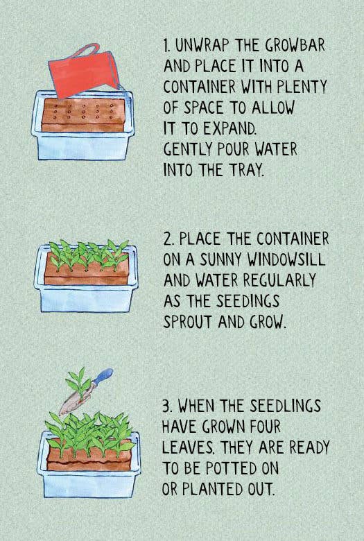 Growbar - The Bee Growbar