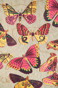 Colourful Butterflies Sewn Garland - by East End Press