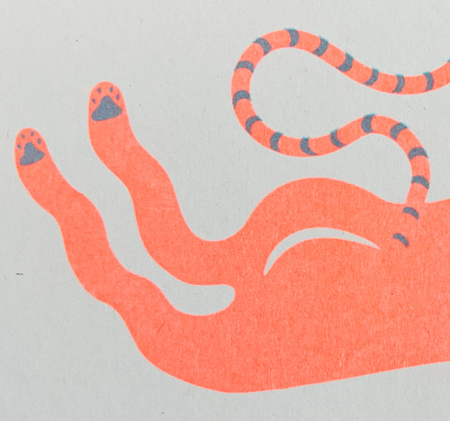 'Cat' - Greetings Card - by Strangford