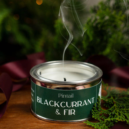 Pintail Candles | Avalon Home - Blackcurrant & Fir Paint Pot